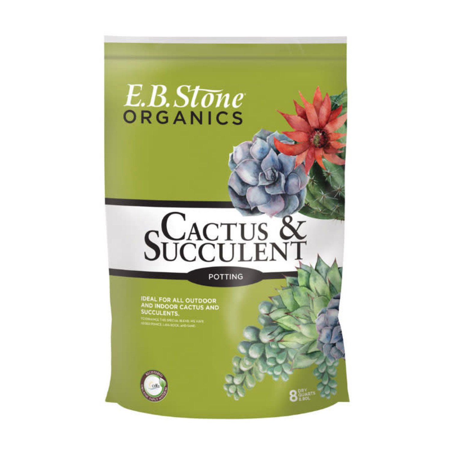 E B Stone Cactus Mix