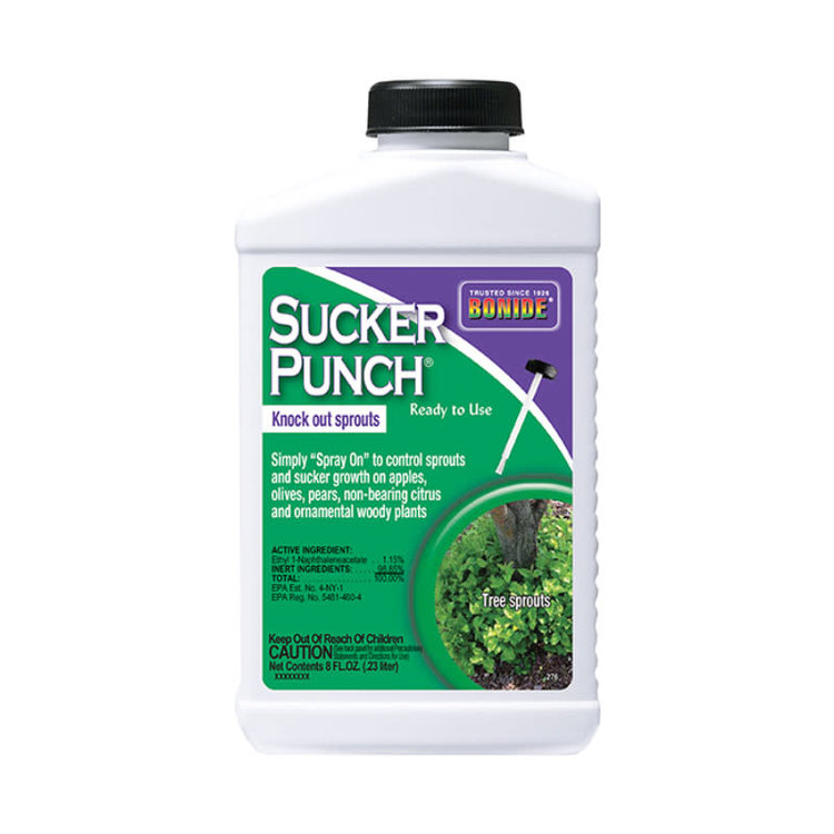 Bonide Bonide Sucker Punch 8 oz