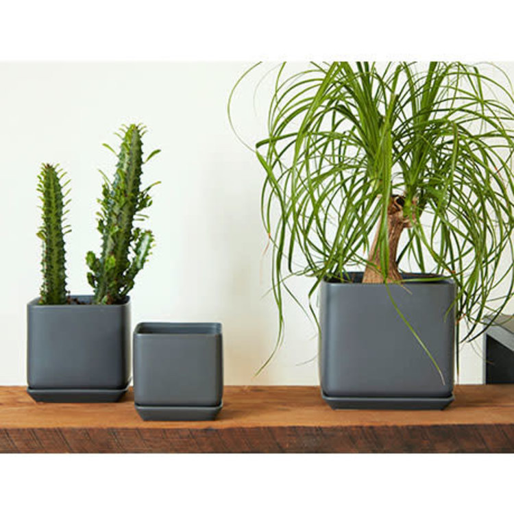 Palm Springs Palm Springs Cube with Saucer, Matte Cool Grey