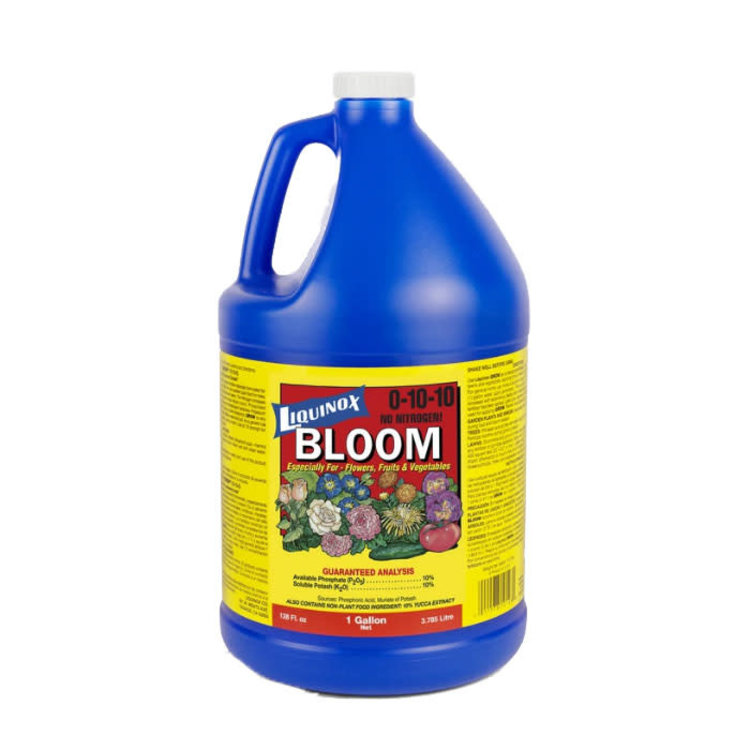 Liquinox Liquinox Bloom 0-10-0