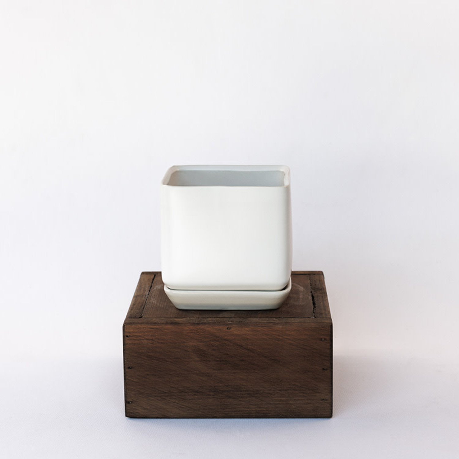 Palm Springs Cube w/saucer, Matte White - Evergreen Nursery