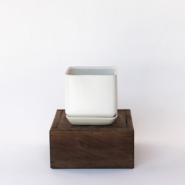 Palm Springs Palm Springs Cube with Saucer, Matte White