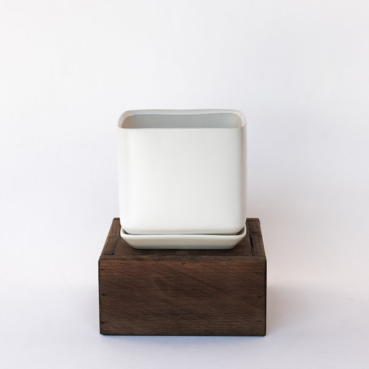 Palm Springs Palm Springs Cube with Saucer, Matte White