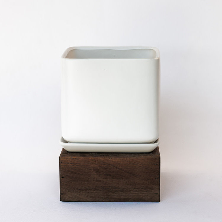 Palm Springs Palm Springs Cube with Saucer, Matte White