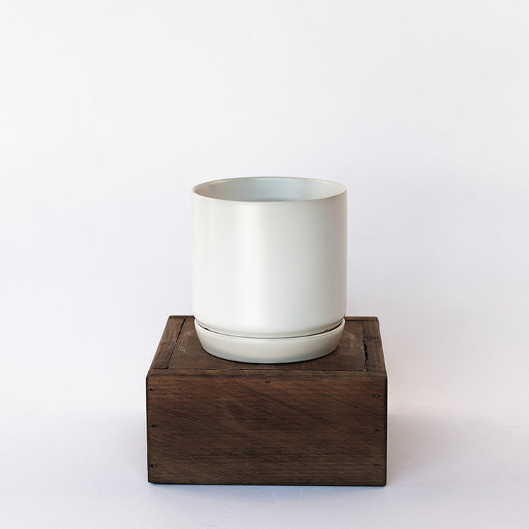 Palm Springs Cylinder with Saucer, Matte White