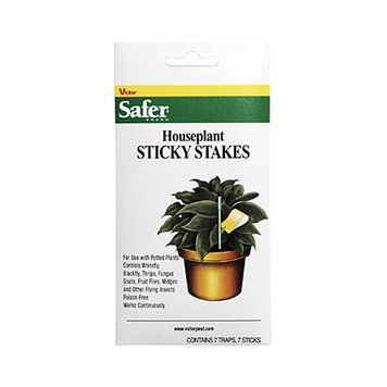 Safer Houseplant Sticky Stakes