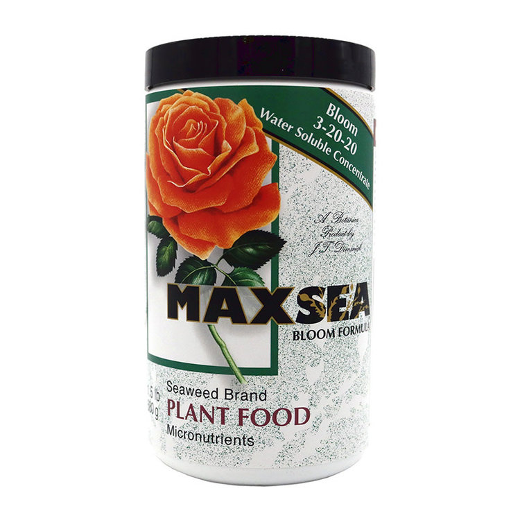 Maxsea Maxsea Bloom 3-20-20 24oz