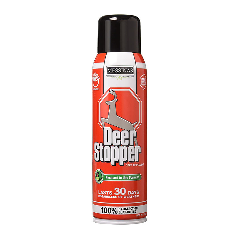 Messinas Deer Stopper Aerosol Spray - Evergreen Nursery
