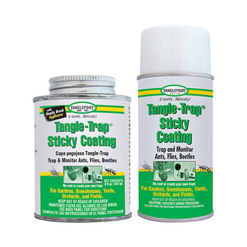 Tanglefoot Tangle Trap