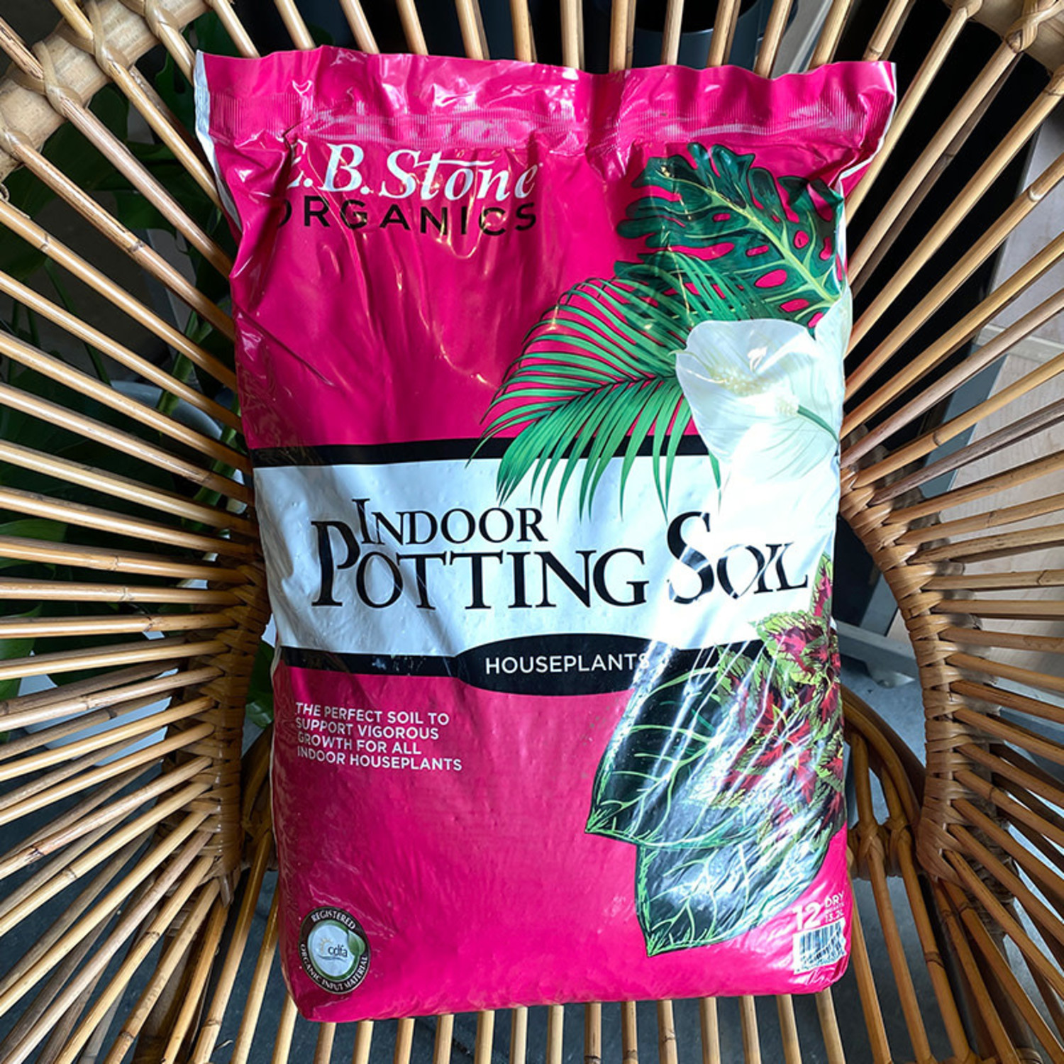 E.B. Stone Organics Indoor Potting Soil
