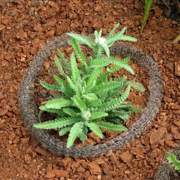 Western Pulp Products Gopher Basket