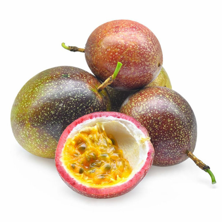 Passionfruit Passiflora edulis 'Frederick'