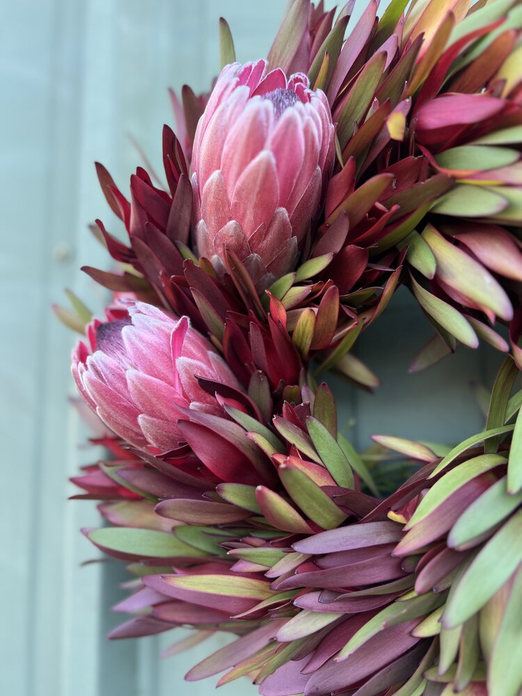 Protea Mini Wreath 'Mistletoe Love'