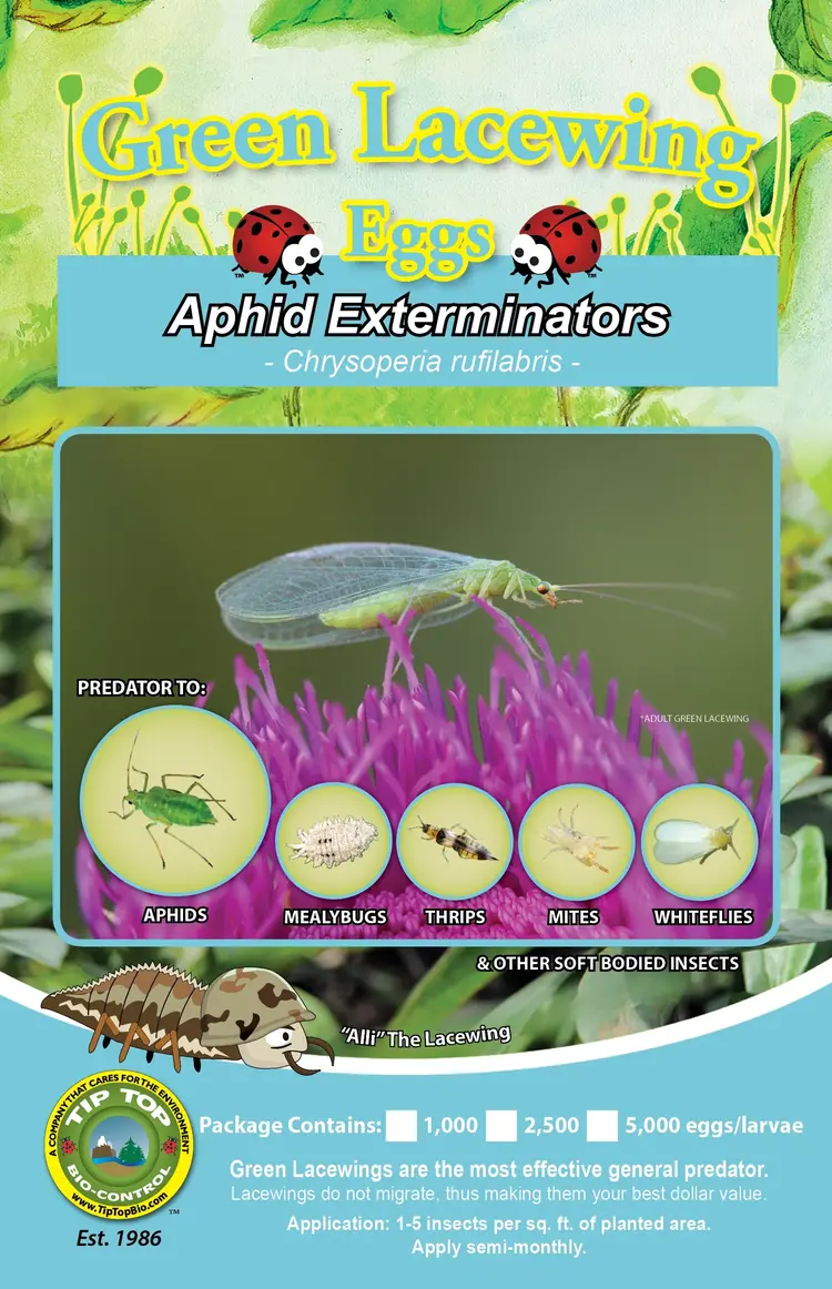 Tip Top Bio-Control Green Lacewings 1000