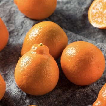 Tangelo 'Minneola'