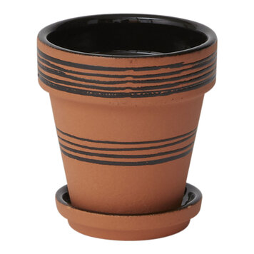 Accent Decor Herati Pot w/Saucer