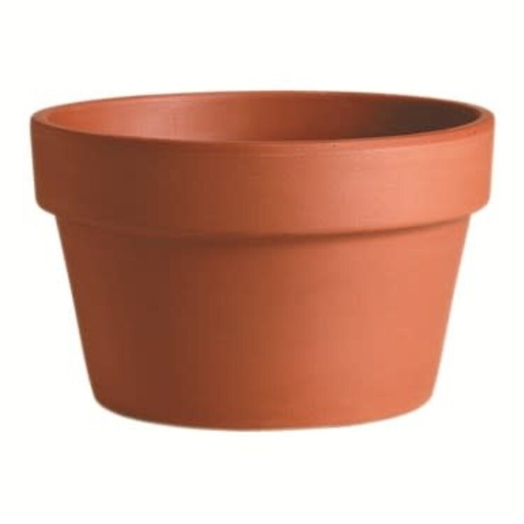 Deroma® Azalea Clay Pot, Terra Cotta 4.3"
