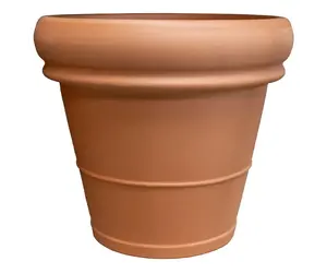 miracle gro indoor plant food Miracle Gro