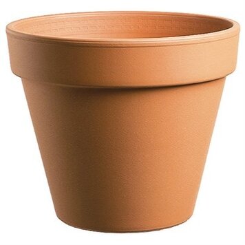 Standard Clay Pot