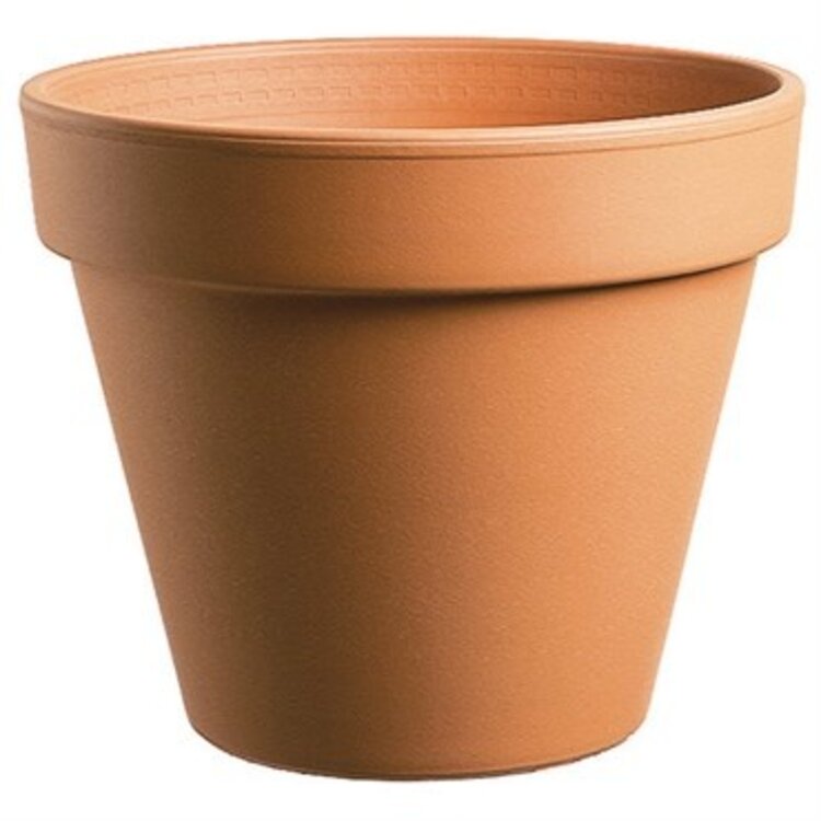 Standard Clay Pot