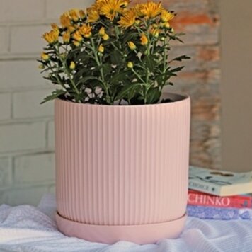 Fluted Cylinder Planter, Pastel Baby Pink