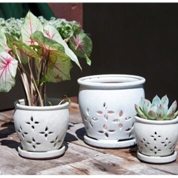 Hilo Orchid Pot, White Spot