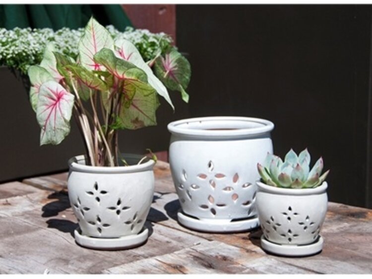 Hilo Orchid Pot, White Spot