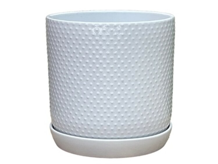 Dotted Cylinder Planter, Bright White