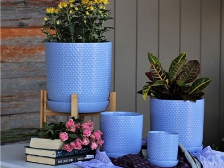 Dotted Cylinder Planter, Pastel Lavender