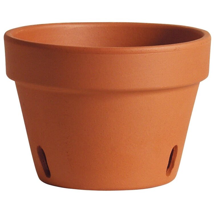Deroma® Orchid Clay Pot, Terra Cotta
