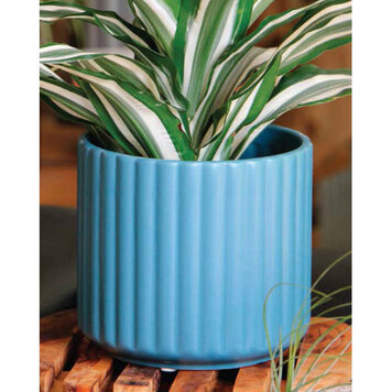 Palm Springs PHG Palm Springs Brush Comb Pot, Denim