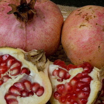 Pomegranate 'Ambrosia'