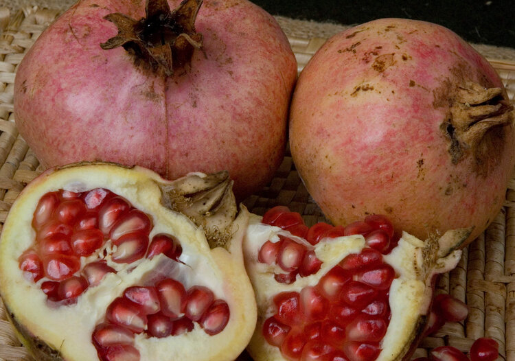 Pomegranate 'Ambrosia'