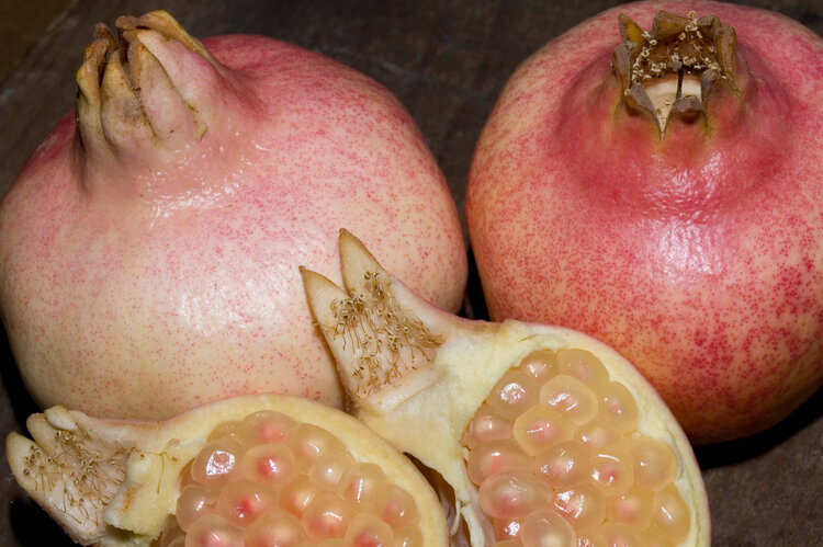Pomegranate 'Eversweet'