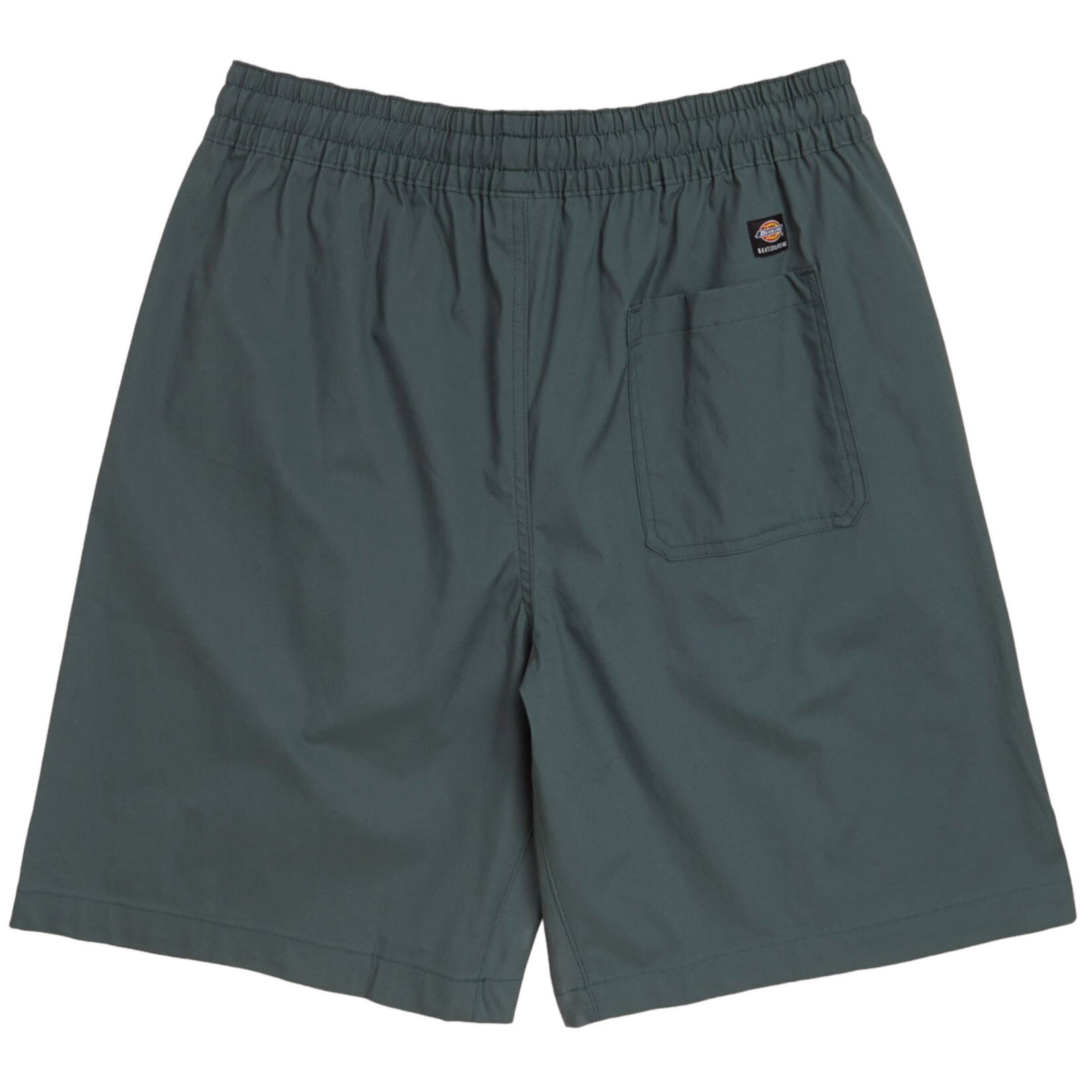 Dickies Dickies Skateboarding Grants Pass Shorts Lincoln Green