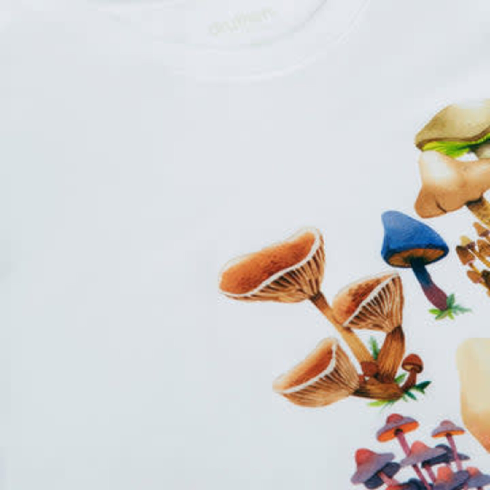Druthers NYC Druthers Organic Cotton Seb Gorey Watercolor Shrooms T-Shirt White