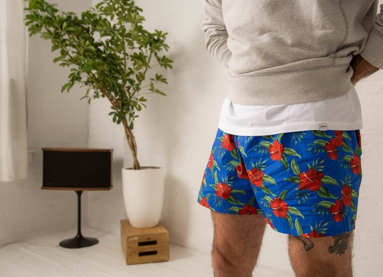 Boxers