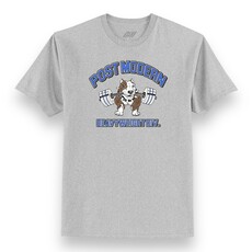 Post Modern Post Modern Heavyweight Division Tee Grey