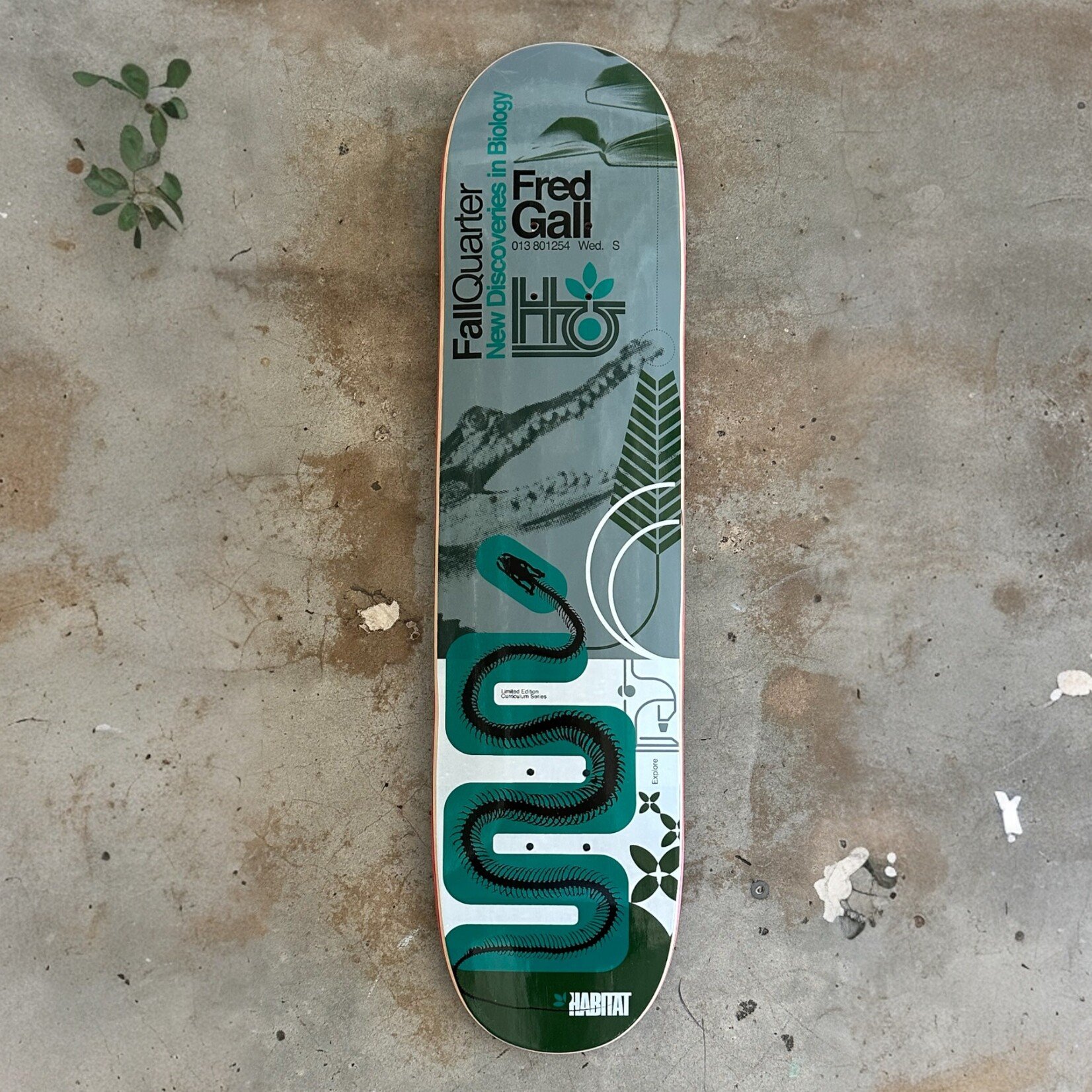 Habitat Fred Gall Fall Quarter Board 7.375