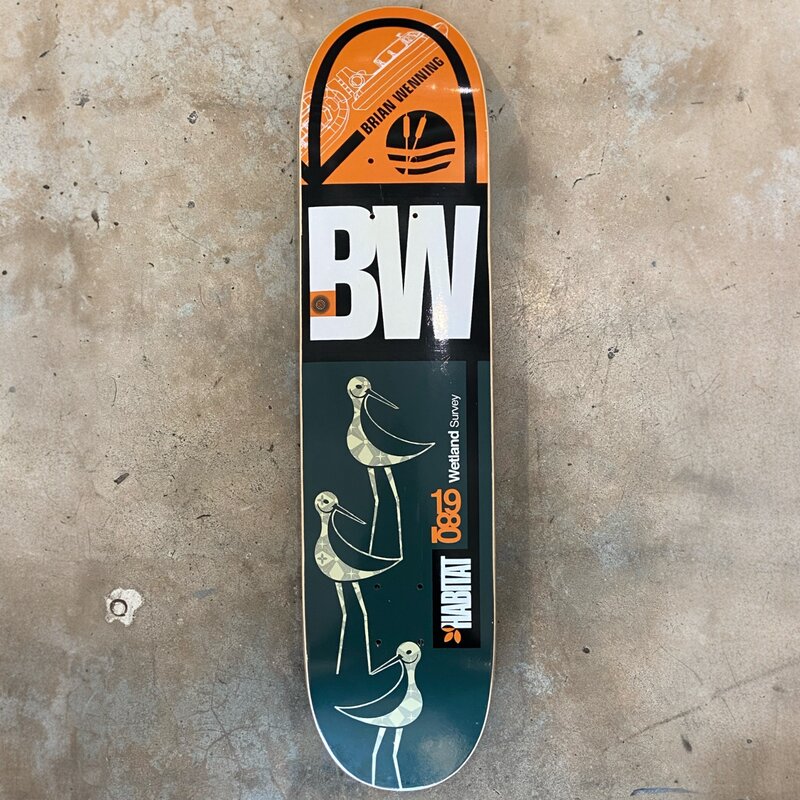 Habitat Brian Wenning Surveyor Series Board (2002)