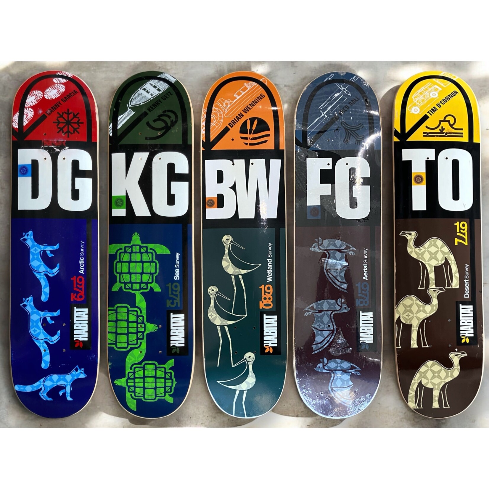 Habitat Surveyor Series Post Modern Skate Shop