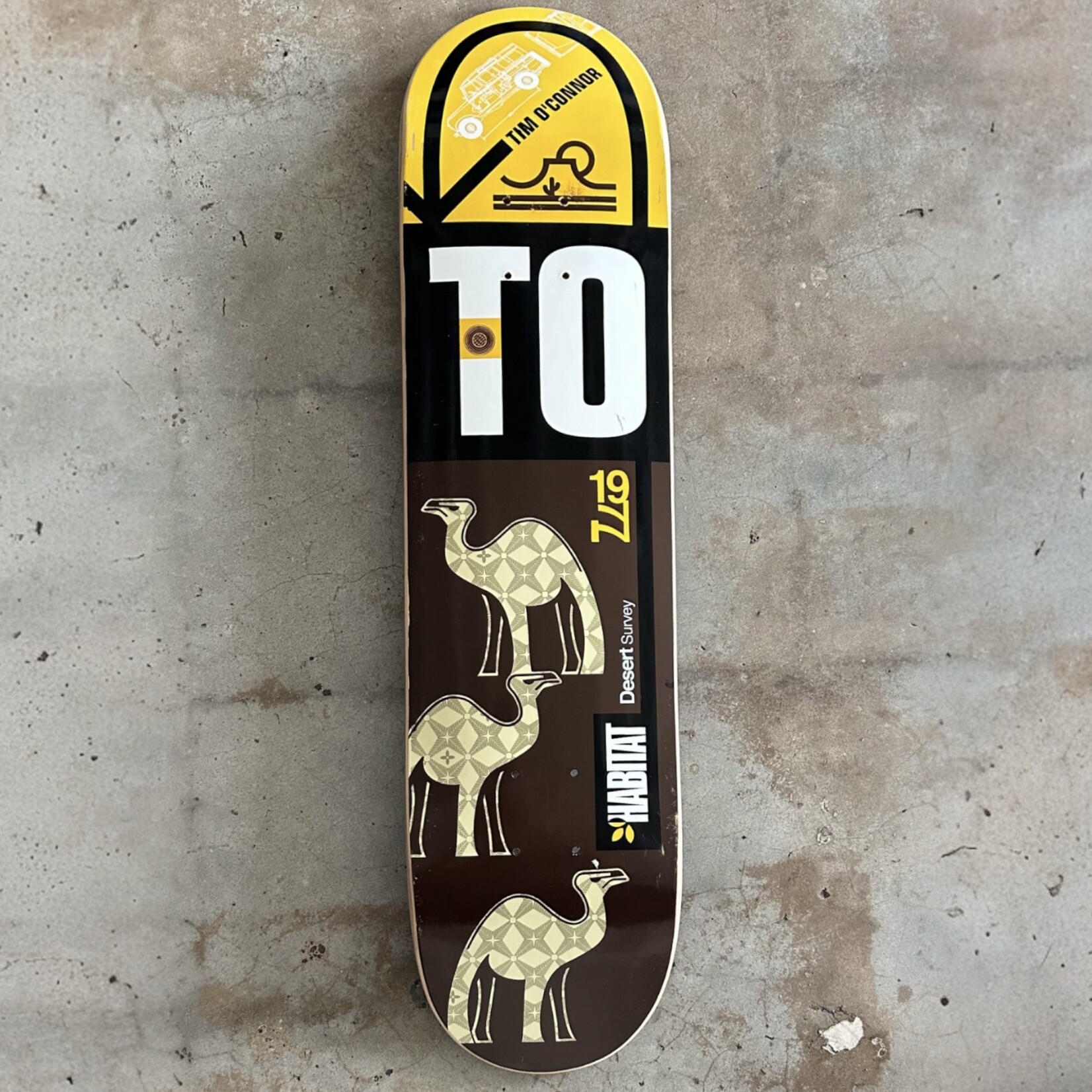 Habitat Surveyor Series Post Modern Skate Shop