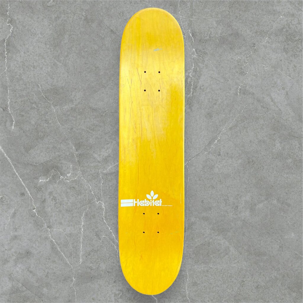 Habitat Brian Wenning Debut Glider Board (2002)