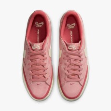 Nike SB Nike SB Zoom Pogo Plus Red Stardust