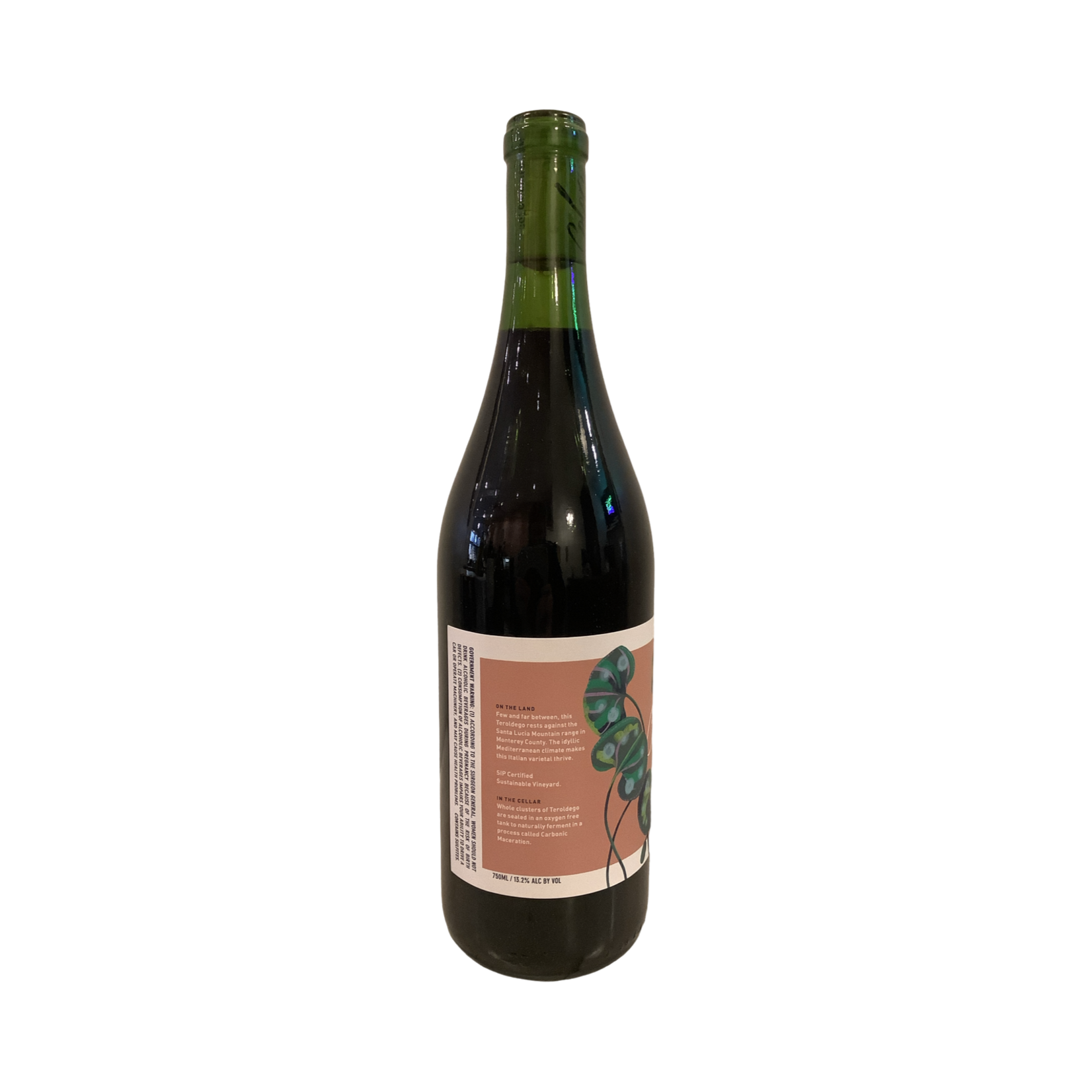 2023 Colori Carbonic Teroldego, Monterey County CA