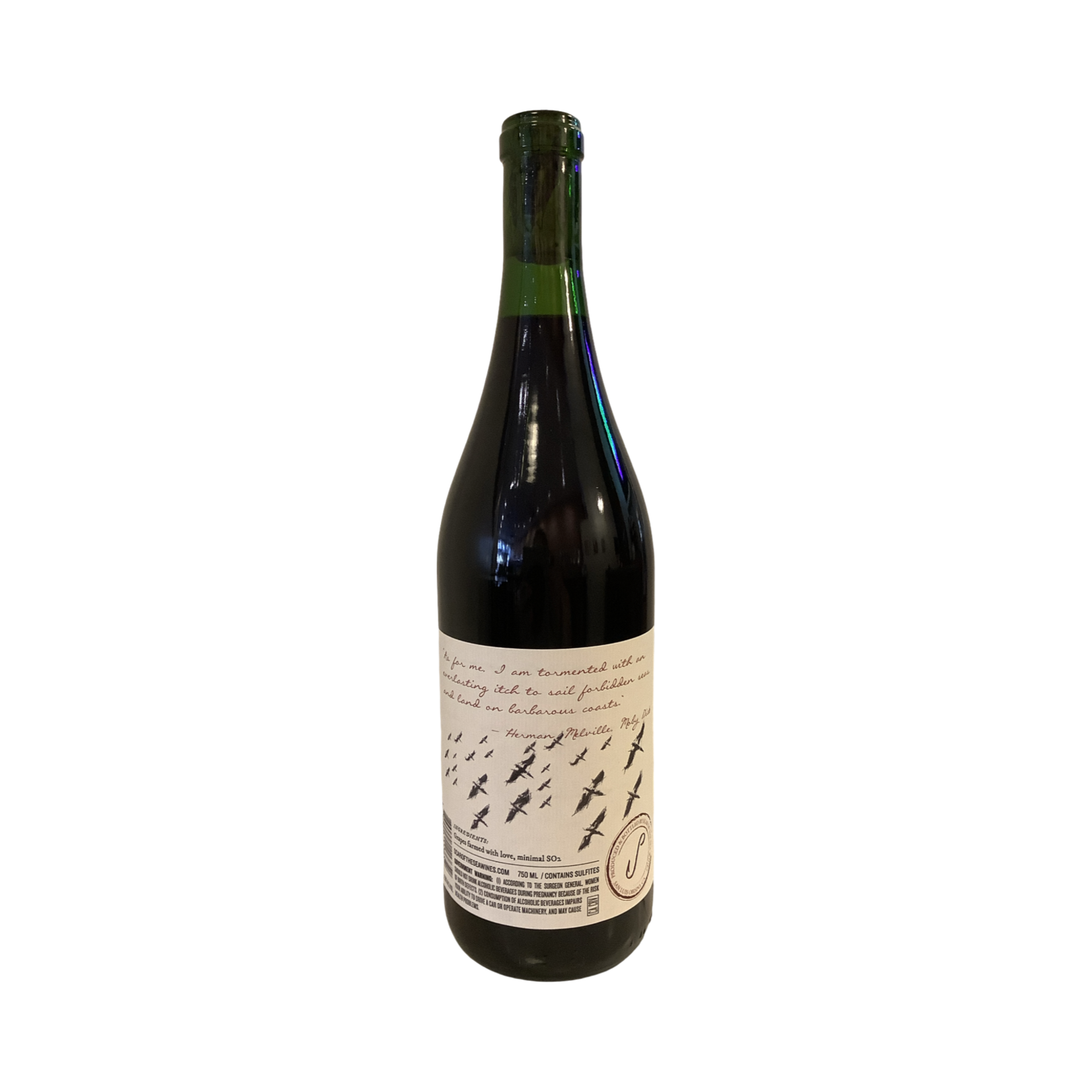 2024 Scar of the Sea Pinot Noir, SLO Coast CA