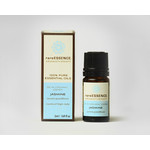 rareESSENCE Aromatherapy Jasmine Essential Oil