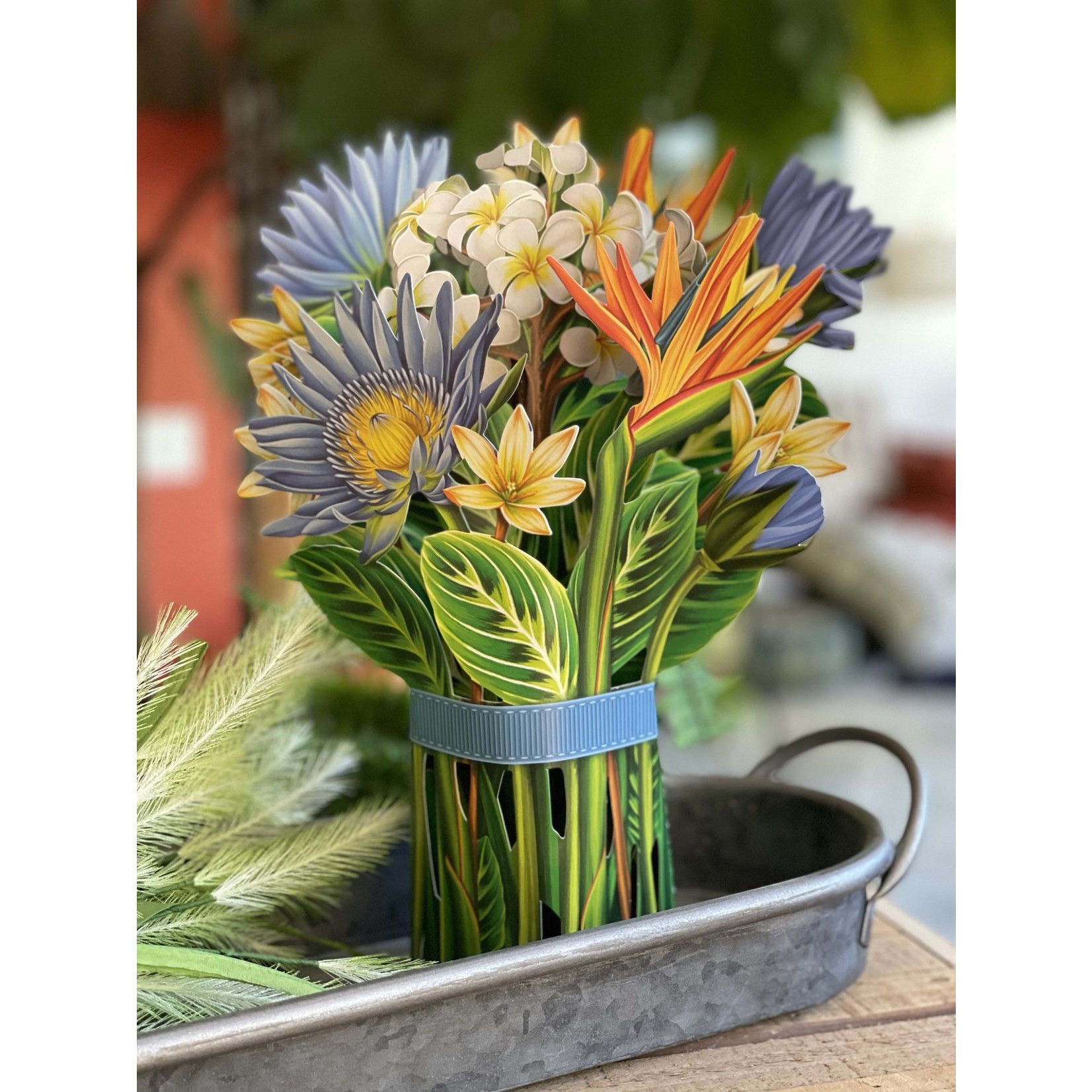 FreshCut Paper Tropical Bloom Pop Up Bouquet