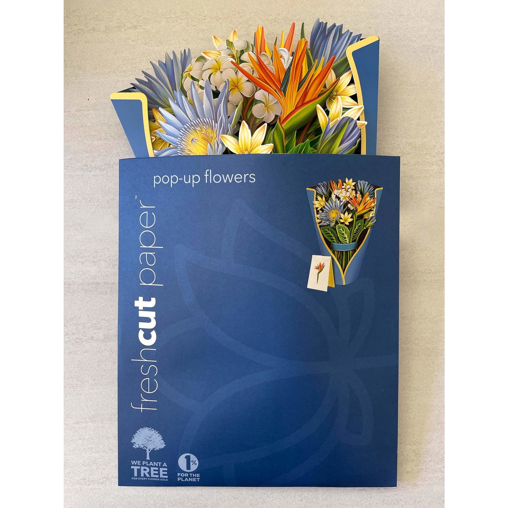 FreshCut Paper Tropical Bloom Pop Up Bouquet