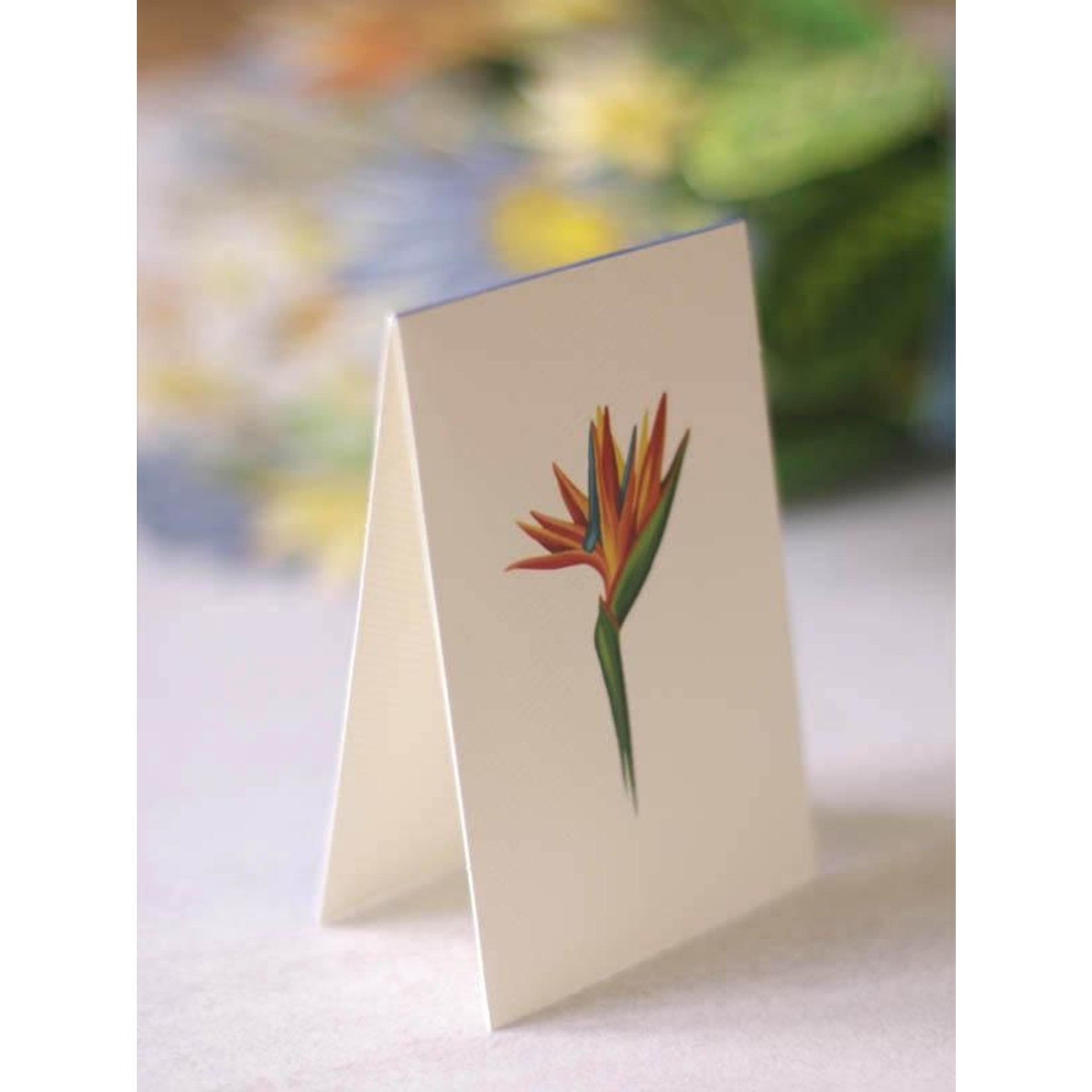 FreshCut Paper Tropical Bloom Pop Up Bouquet